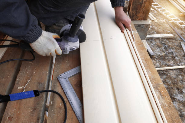 Best Fascia and Soffit Installation  in Locust Grove, GA