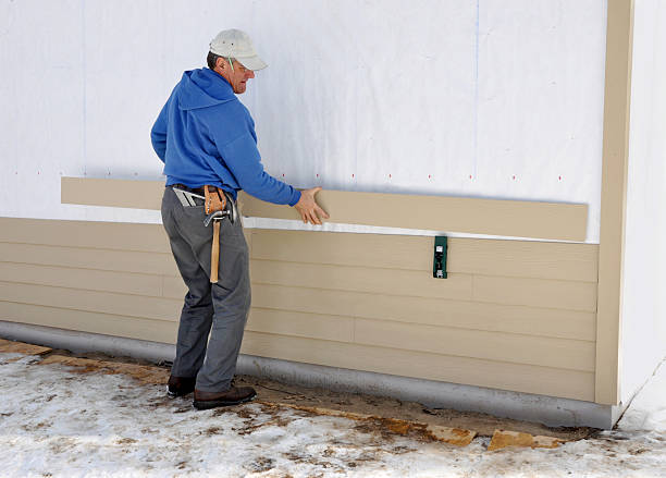 Best Vinyl Siding Installation  in Locust Grove, GA